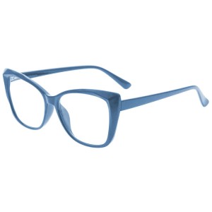 Plastic Reading Glasses